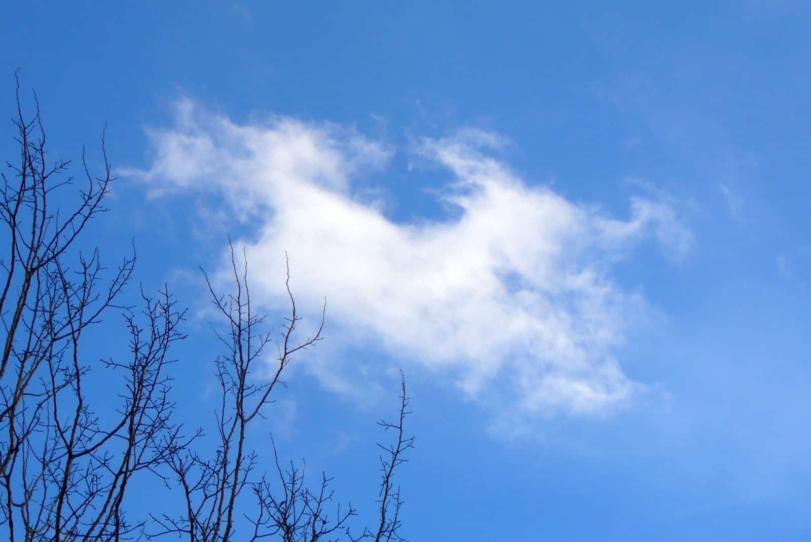 cloud of horse representing Wind Horse Circle 2